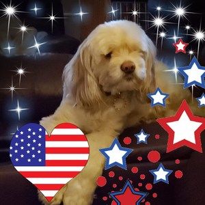 Meet your Posher, Marsha